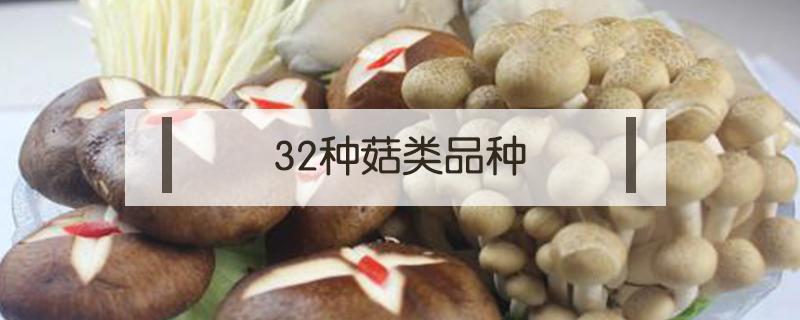 32种菇类品种（32种菇类品种图片羊肚菌）