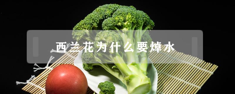 西兰花为什么要焯水(西兰花为啥要焯水)