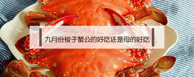 九月份梭子蟹公的好吃还是母的好吃 9月梭子蟹公的好吃还是母的好吃