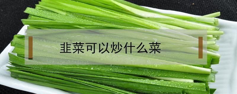 韭菜可以炒什么菜（韭菜可以炒什么菜图片）