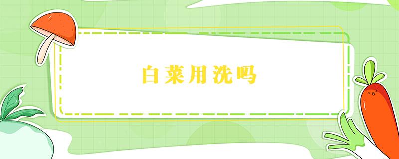 白菜用洗吗 白菜到底用不用洗