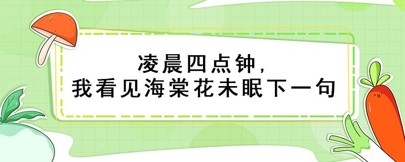 凌晨四点钟,我看见海棠花未眠下一句 凌晨四点钟,我看见海棠花未眠下一句是什么