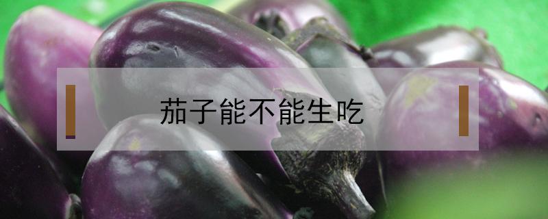 茄子能不能生吃? 茄子能不能生吃凉拌