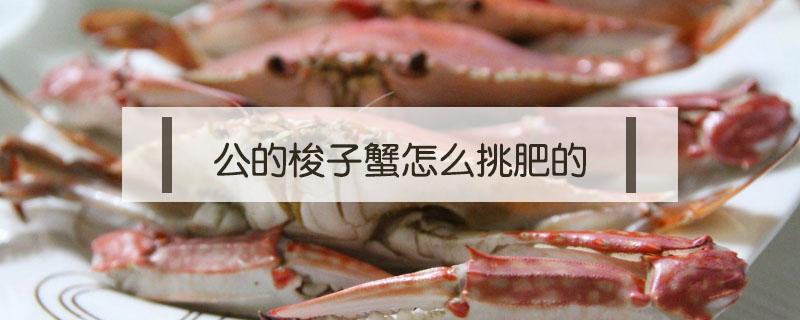 公的梭子蟹怎么挑肥的 梭子蟹肥瘦怎么挑