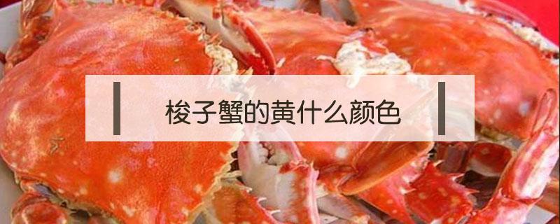 梭子蟹的黄什么颜色（梭子蟹的黄是啥颜色）