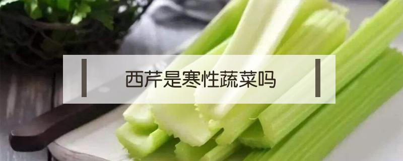 西芹是寒性蔬菜吗（西芹是寒性的吗）