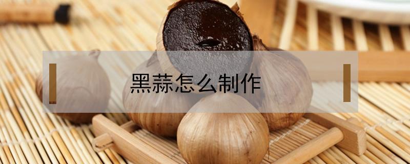黑蒜怎么制作(黑蒜怎么制作视频教程)