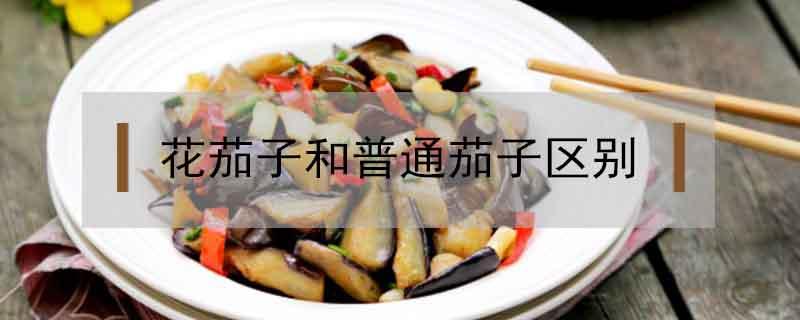 花茄子和普通茄子区别（茄子和茄子的区别）