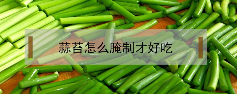 蒜苔怎么腌制才好吃（蒜苔怎么腌制才好吃放的时间长）