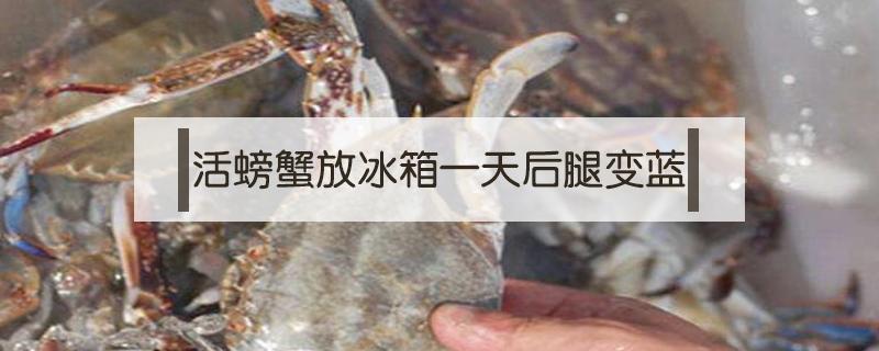 活螃蟹放冰箱一天后腿变蓝 青蟹放冰箱保鲜一晚上好像不会动了