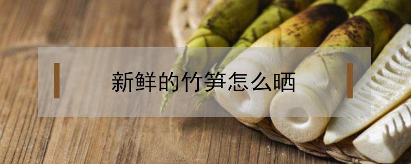 新鲜的竹笋怎么晒(新鲜的竹笋怎么晒干好吃)