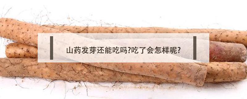 山药发芽还能吃吗?吃了会怎样呢?(山药发芽还能吃吗?吃了会怎样呢图片)