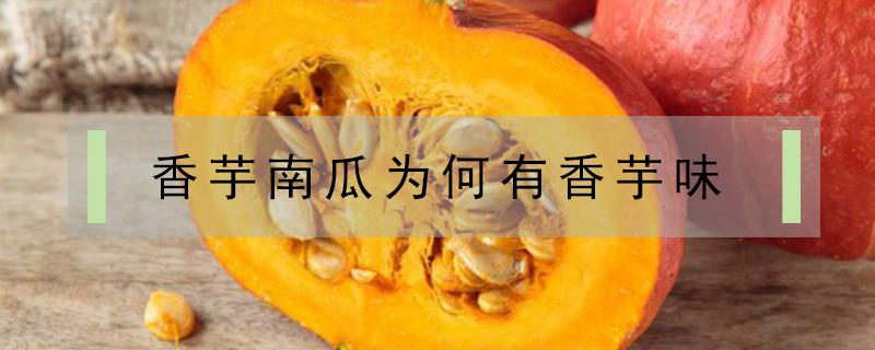 香芋南瓜为何有香芋味（南瓜为什么有芋头味）
