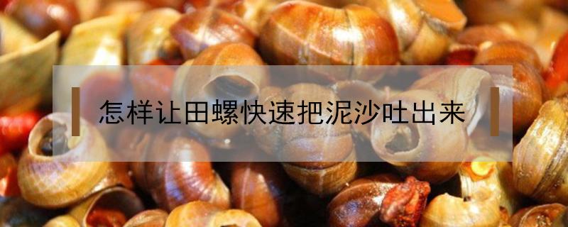 怎样让田螺快速把泥沙吐出来（怎样才能让田螺快速把泥土吐干净）