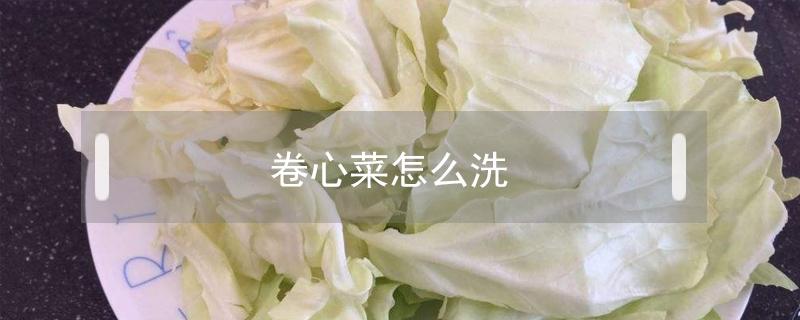 卷心菜怎么洗 卷心菜怎么洗?