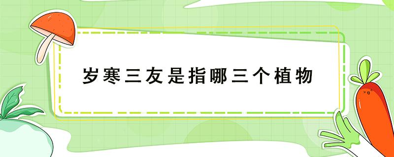 岁寒三友是指哪三个植物 岁寒三友是指哪三个植物花中四君子