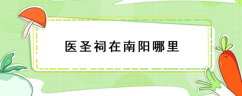 医圣祠在南阳哪里（南阳医圣祠街在什么位置）