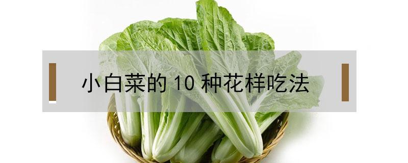 小白菜的10种花样吃法 小白菜的做法大全图片