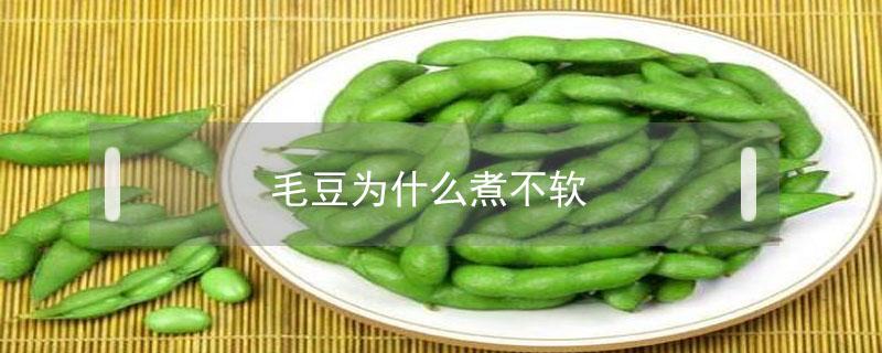 毛豆为什么煮不软（煮毛豆不发黑）