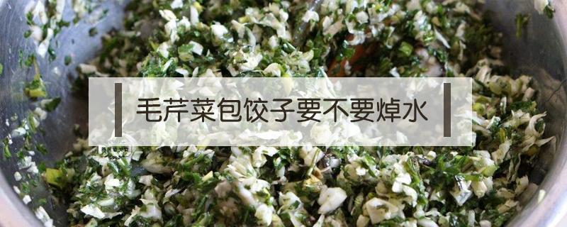 毛芹菜包饺子要不要焯水 毛芹包饺子需要过水吗