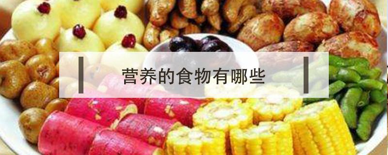 营养的食物有哪些（补充营养的食物有哪些）