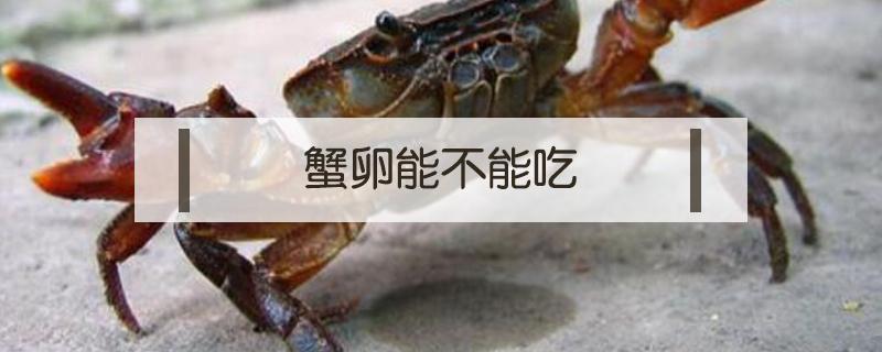 蟹卵能不能吃 母蟹蟹卵可以吃吗