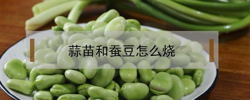 蒜苗和蚕豆怎么烧 蒜苗炒蚕豆要焯水吗