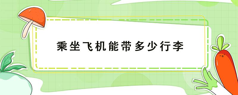 乘坐飞机能带多少行李（乘坐飞机能带多少行李不加钱李）