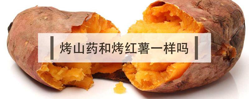 烤山药和烤红薯一样吗 烤山药就是烤红薯吗