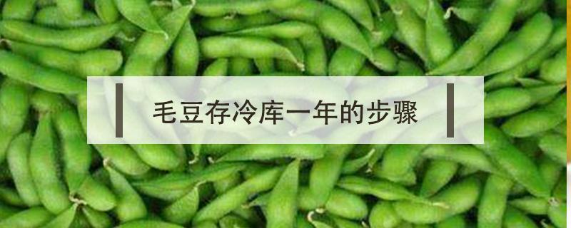 毛豆存冷库一年的步骤 毛豆冷库储存方法