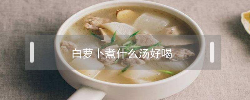 白萝卜煮什么汤好喝 白萝卜煮什么汤好吃