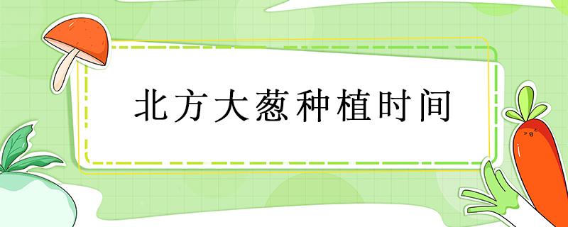 北方大葱种植时间（北方大葱种植时间24节气）