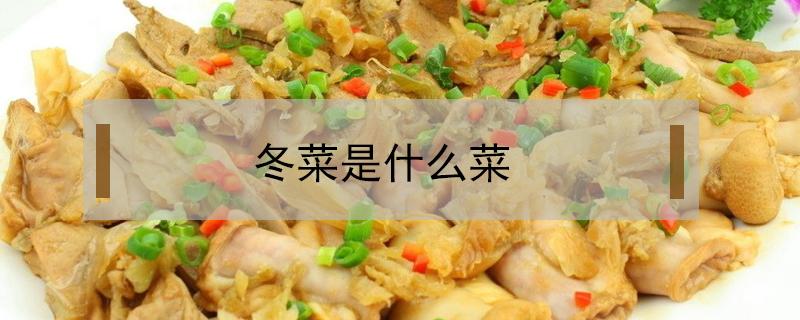 冬菜是什么菜 冬菜是什么菜做的