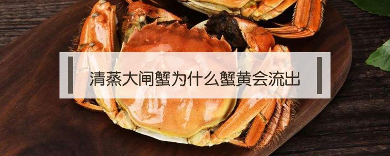 清蒸大闸蟹为什么蟹黄会流出