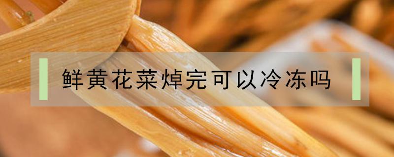 鲜黄花菜焯完可以冷冻吗(黄花菜焯水后可以冻到冰箱里吃吗)