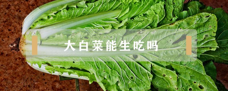 大白菜能生吃吗 大白菜可不可以生吃