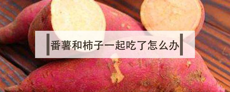番薯和柿子一起吃了怎么办 柿子跟番薯一起吃了怎么办