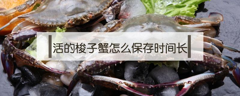 活的梭子蟹怎么保存时间长 梭子蟹如何保存活得久