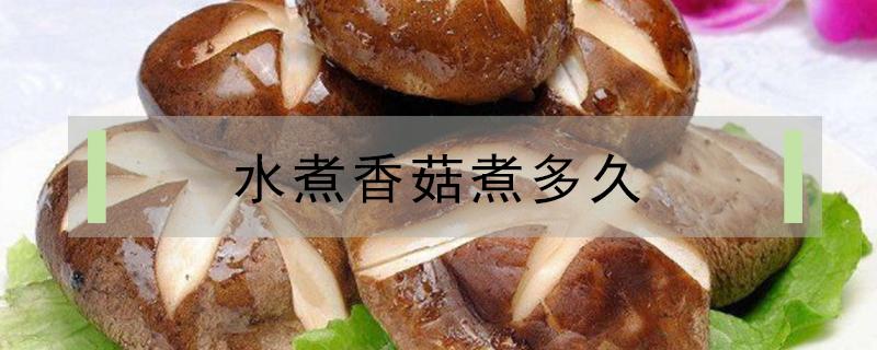 水煮香菇煮多久 水煮香菇几分钟