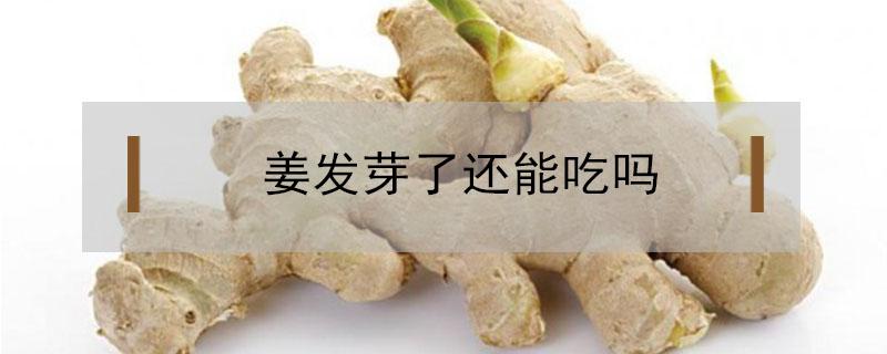 姜发芽了还能吃吗（蒜和姜发芽了还能吃吗）