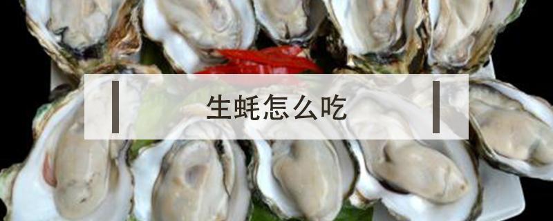 生蚝怎么吃（生蚝怎么吃肉）