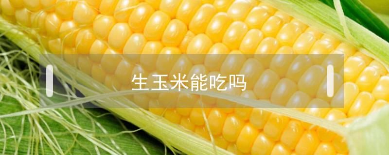 生玉米能吃吗（生玉米能吃吗百度百科）