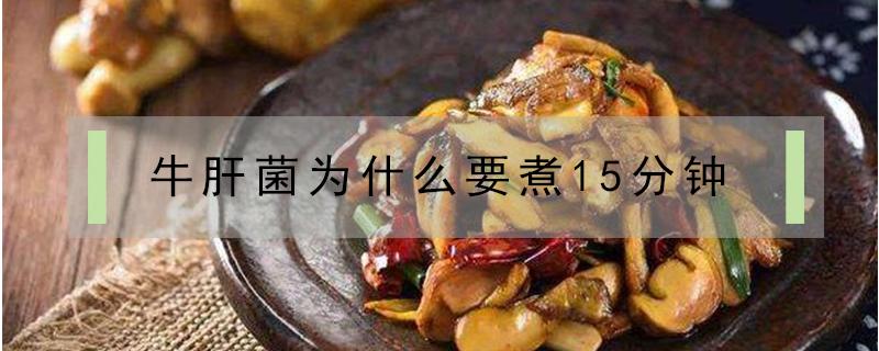 牛肝菌为什么要煮15分钟 牛肝菌煮15分钟后水能吃吗