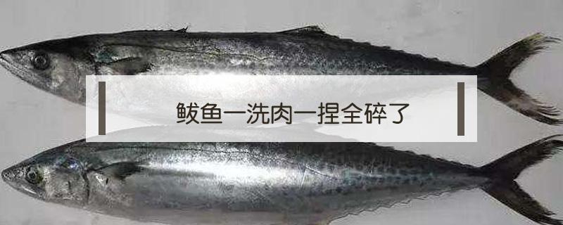 鲅鱼一洗肉一捏全碎了 鲅鱼一洗肉一捏全碎了还能吃吗