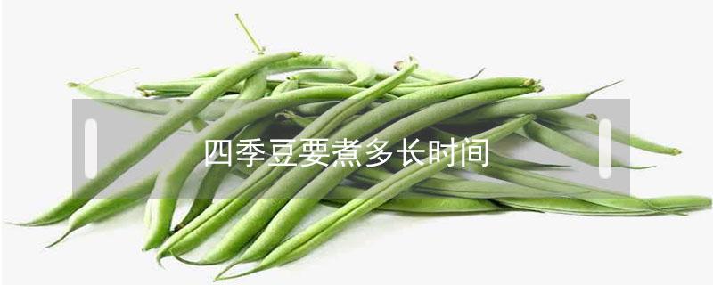 四季豆要煮多长时间（四季豆要煮多长时间才能熟）