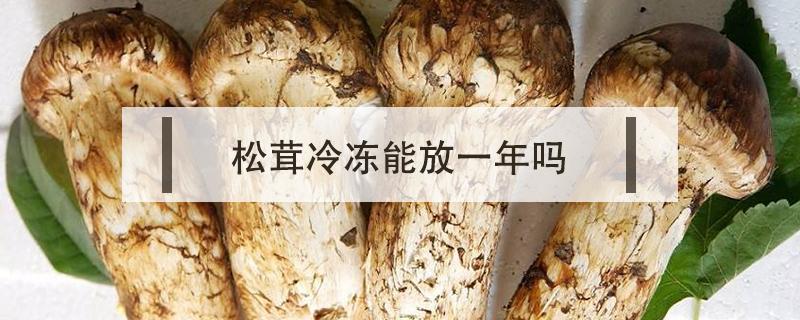 松茸冷冻能放一年吗 松茸冻在冰箱一年还能吃?