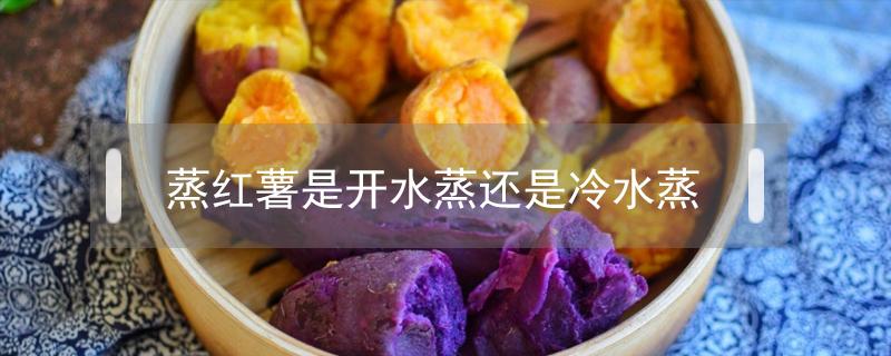 蒸红薯是开水蒸还是冷水蒸 煮红薯是开水蒸还是冷水蒸