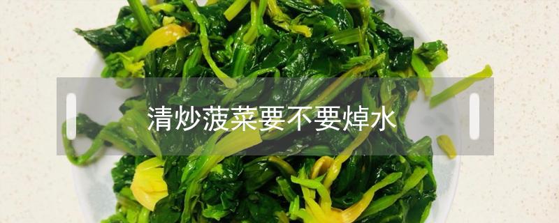 清炒菠菜要不要焯水（清炒菠菜要焯水吗）