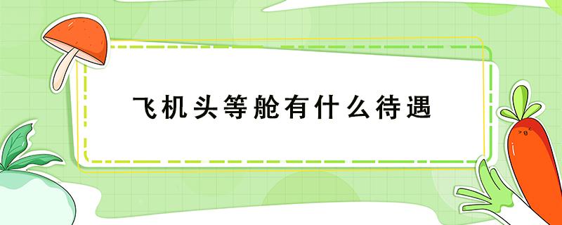 飞机头等舱有什么待遇 飞机头等舱有啥待遇