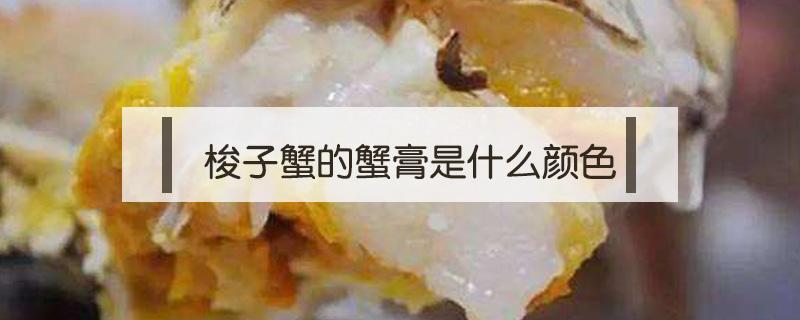 梭子蟹的蟹膏是什么颜色 梭子蟹灰色的是蟹膏吗